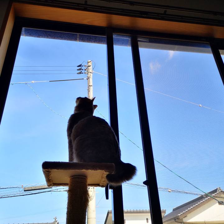 A30e10f4 f35c 496c b3c0 80607fd7701e 1597383849699