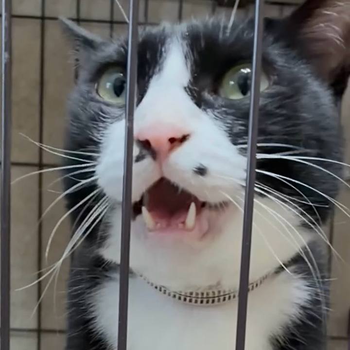 A30e3402 3444 401b 9c58 01c8b42ecd90 1753783430572