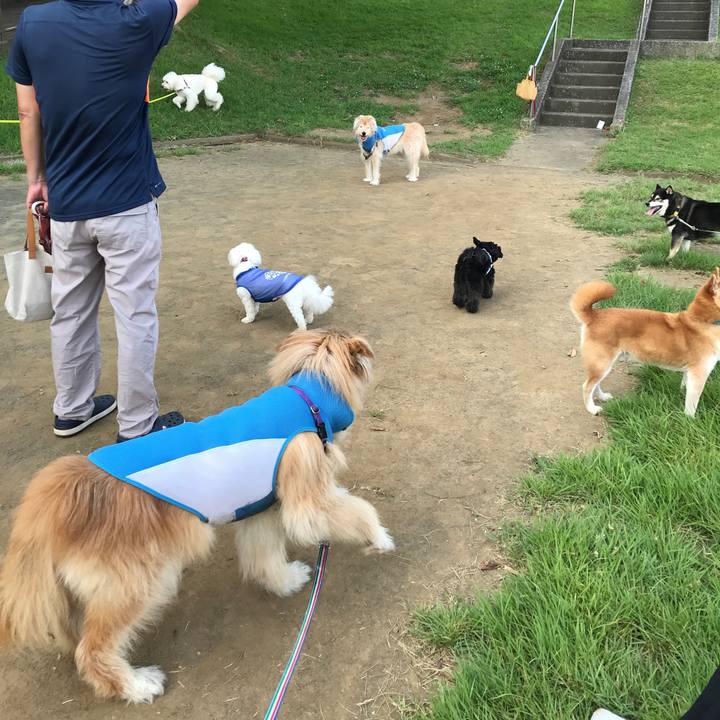 A30eb578 8a29 42a0 82b4 2ba6b75e4b8c 1627088463595