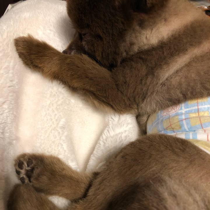 A30ec989 7aca 4911 9695 c93d78aadc41 1560289548043