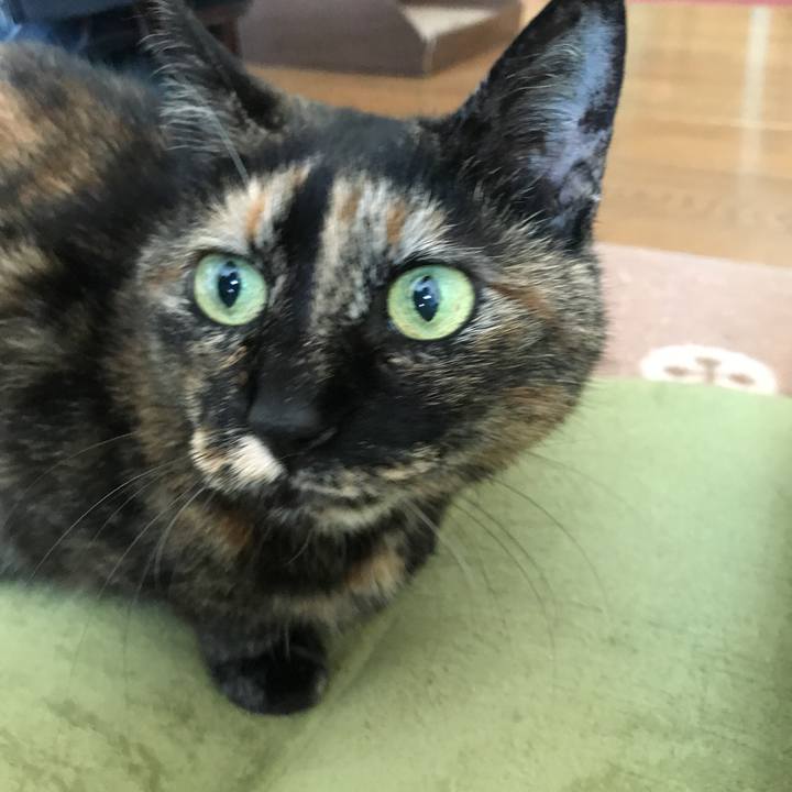 A30ecb4a b003 4286 91ab a65d662fc3f7 1525479077581