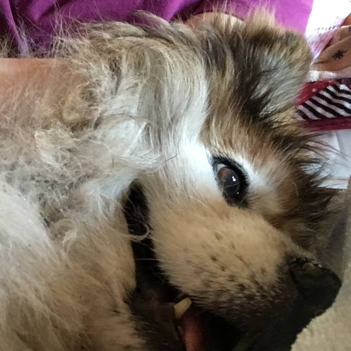 A30ee637 833d 46bb 990d 4647d495ac37 1628416345526