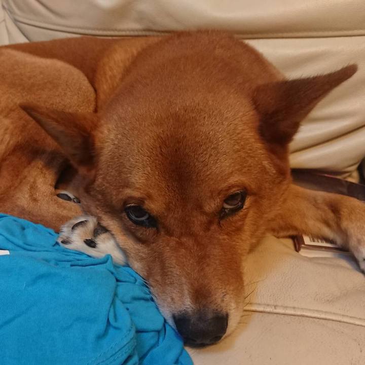 A30f0629 74f7 49d9 9862 ea00bb3da898 1599191263896