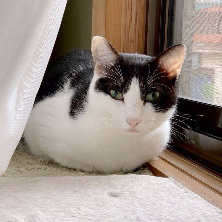 A30f252e 61fb 4452 b589 193e71cb666e 1538616772527