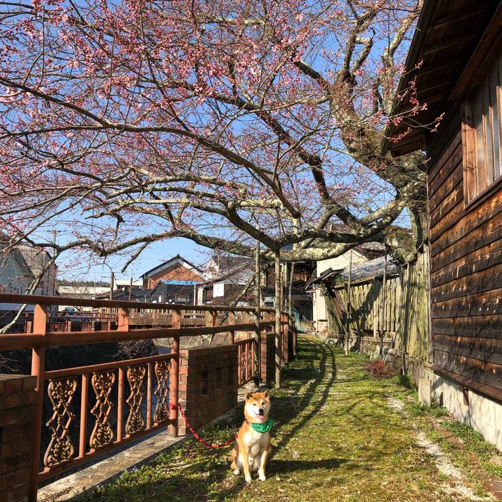 A30f2d50 4208 4d79 abf6 9ac0ec05f791 1522226766549