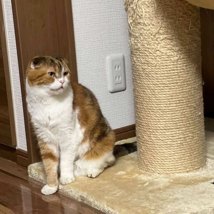 A30f3e45 3281 42c1 8239 1cf2ea5d8522 1692020414431