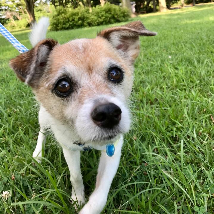 A30f4938 7c49 4353 b2cf 4d97474a1297 1658565905075