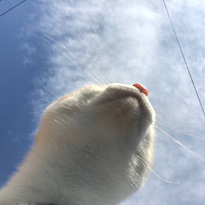 A30f5063 37b9 4846 9055 90dcc3cac494 1511667003482