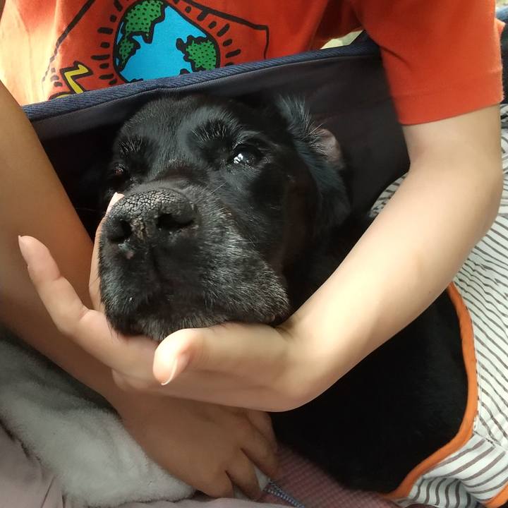 A30f5287 e11d 491d bb08 ebc630a3e6d3 1722661592846