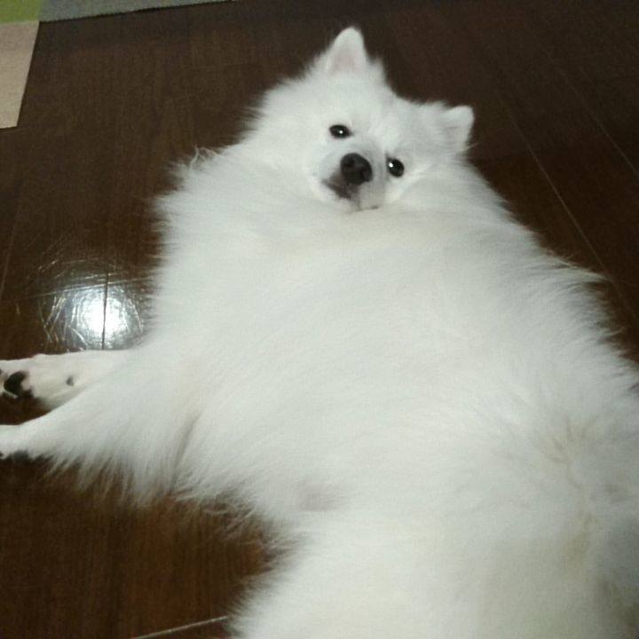 A30fa343 0569 449f 8d2d d3af2e84840b 1570608652334