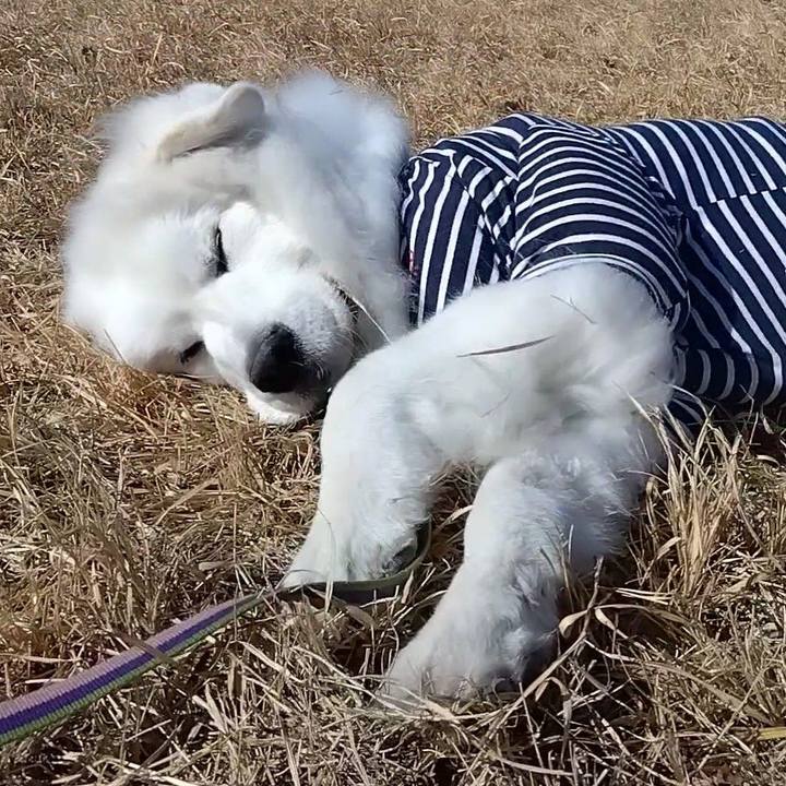 A30fbc96 d529 4932 9167 e51f2f705841 1675640281563