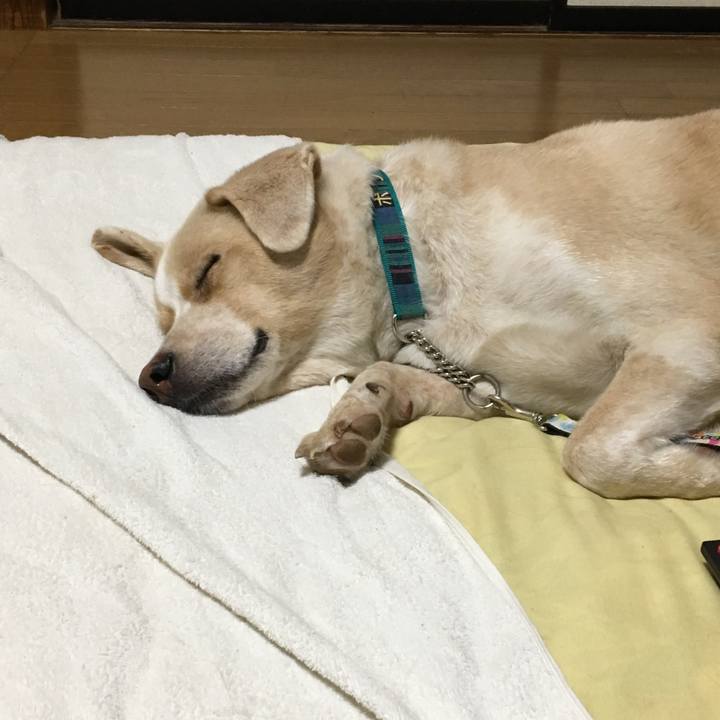 A30fc2ac 5b10 47fc b78f 88f57988b78d 1536593435209