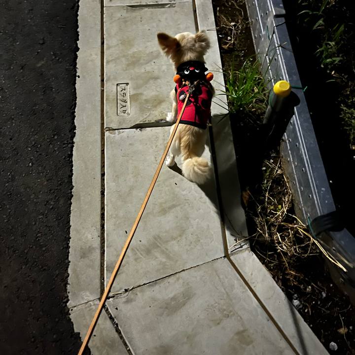 A30ff712 d753 4f1b 901f 596bfb2cb2b6 1725279005322