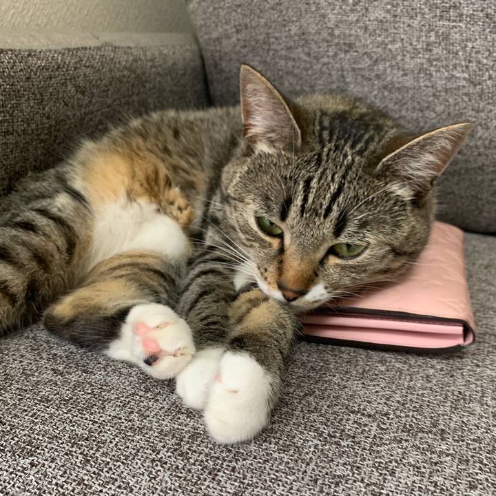 A30ffd43 d4ee 4d64 90ae 00c53e49a31f 1564033485927