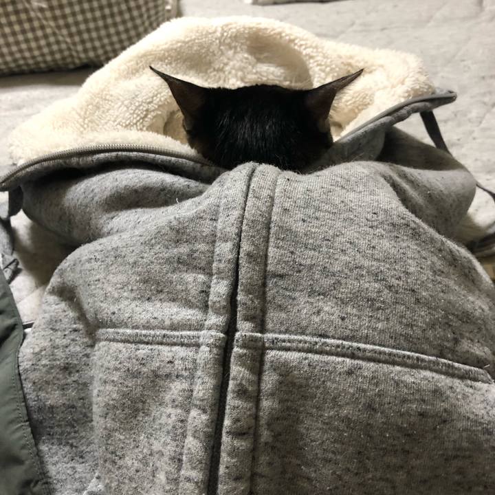 A310560e 0d1a 42ce 93ab e58b4e9d7f79 1553877384910