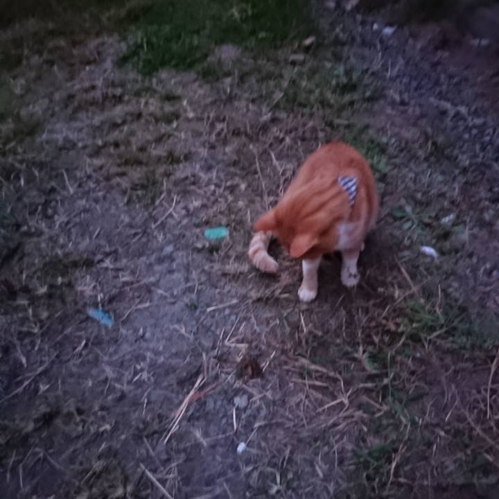 A31058a5 2f2b 434c bfe1 01da1ea59147 1569617669477