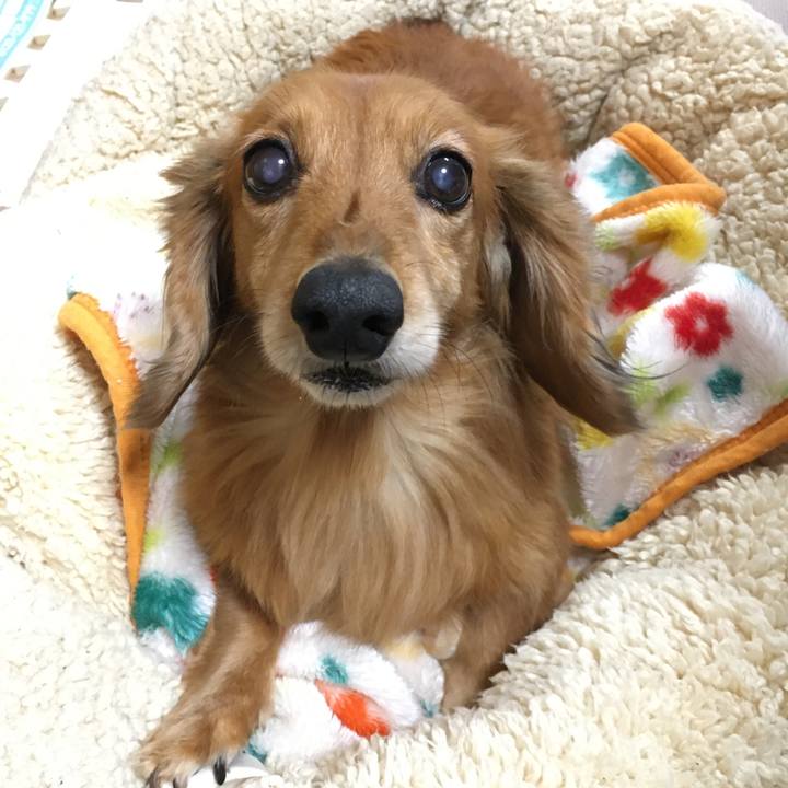 A3106216 f992 4077 979d ece7458a6449 1575554558399