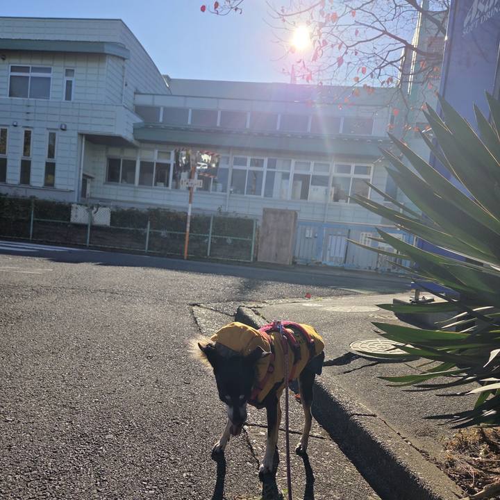 A3107208 4580 43f4 b11d 393237b76472 1763771650623