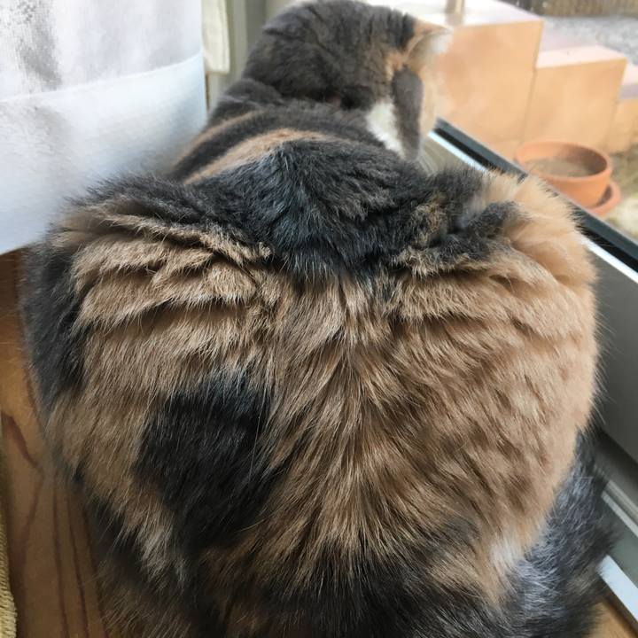 A310c59c 618b 4fb3 9705 7324e6b8ed1a 1538807496963