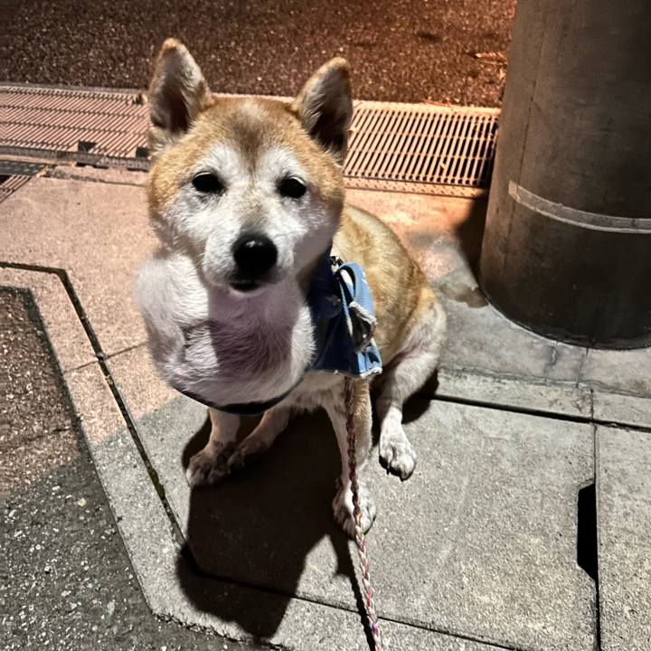 A310cc2d 5739 40f4 9a58 7dbd7caf5c3f 1760436077453