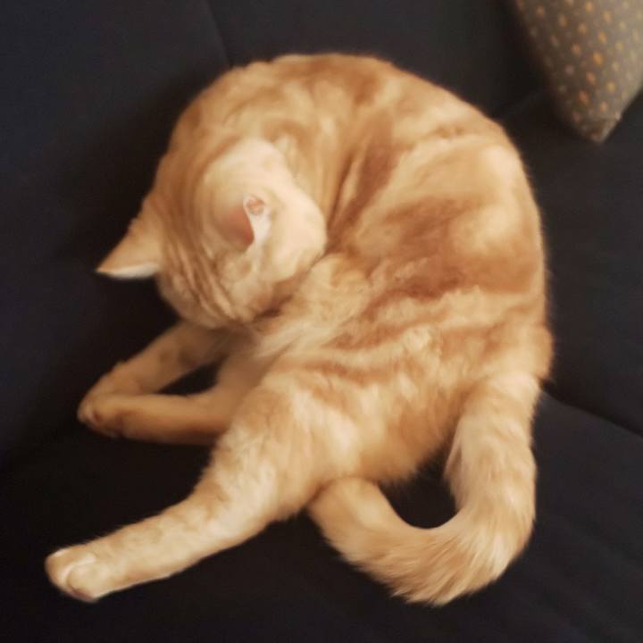 A310d027 2c53 4684 94b2 f991c6acb3c7 1554093141342