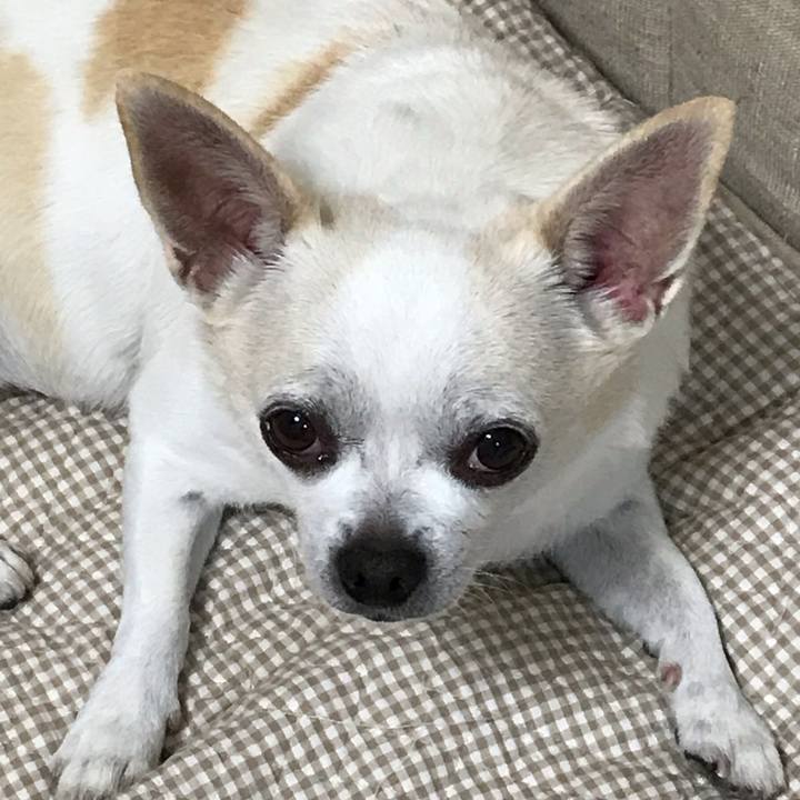 A3110edd f70a 4f07 a549 135761c5faf0 1540687878544