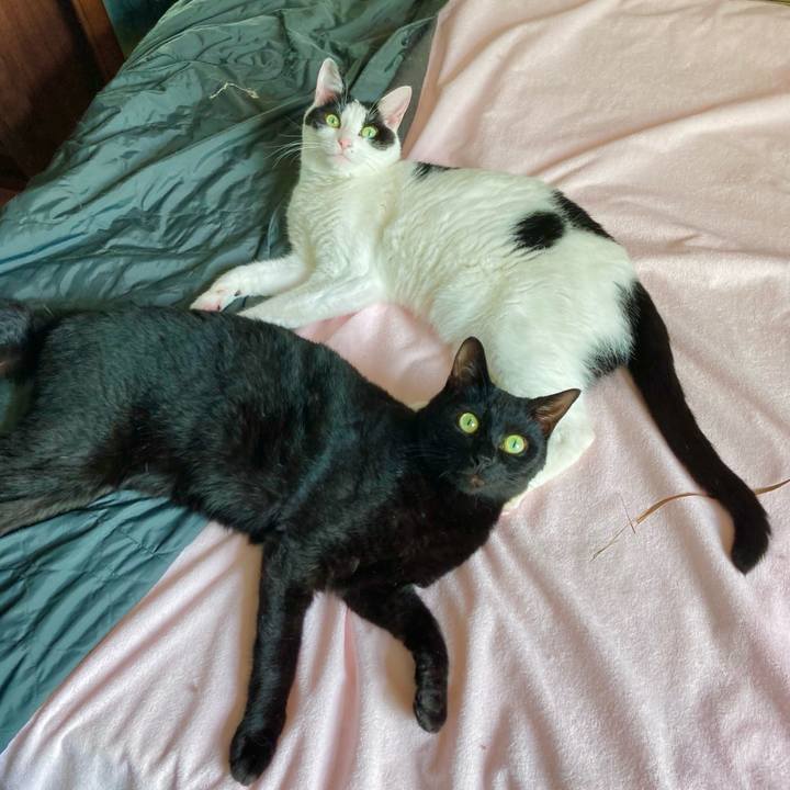 A3112839 9789 4ec4 8bb4 611068137706 1691985757586