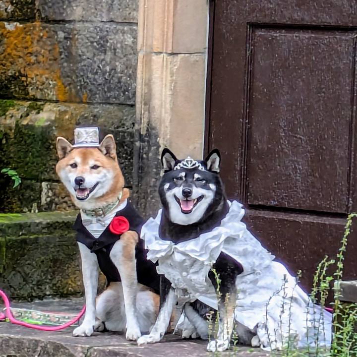 A3114664 be85 4fbf 8226 bcae4ce6307a 1727704400643