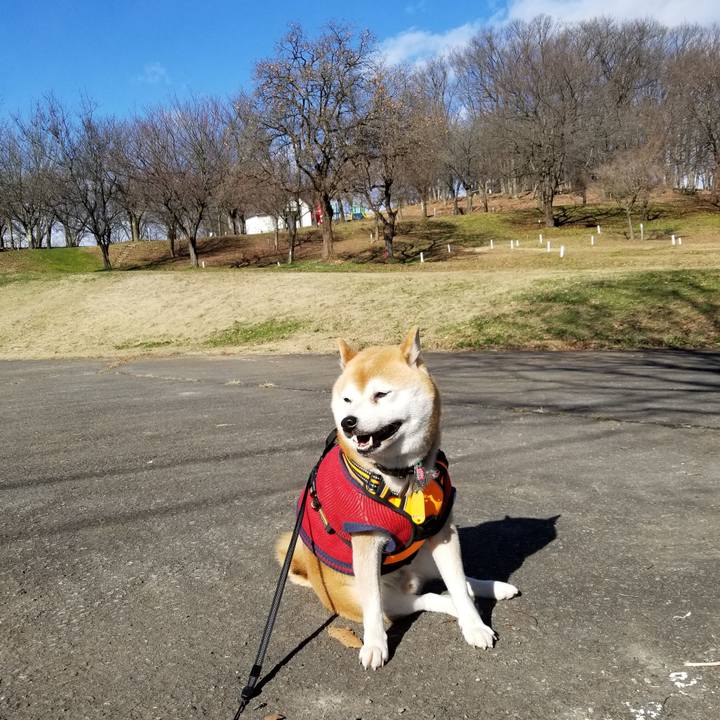 A3118c34 2547 41b8 aa70 7d06046b2e5a 1607135938270