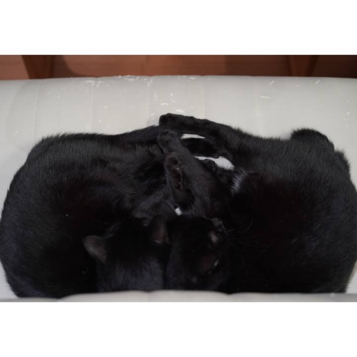 A3121280 da62 4235 ae29 d78dcd485523 1631629889420