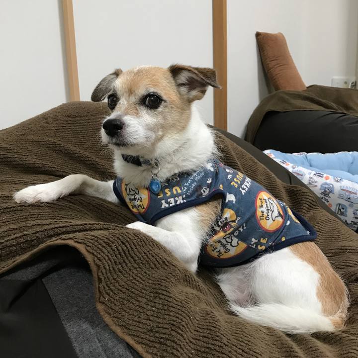 A31235d0 a7bb 428c 9d87 6e783e10ee34 1659588931029