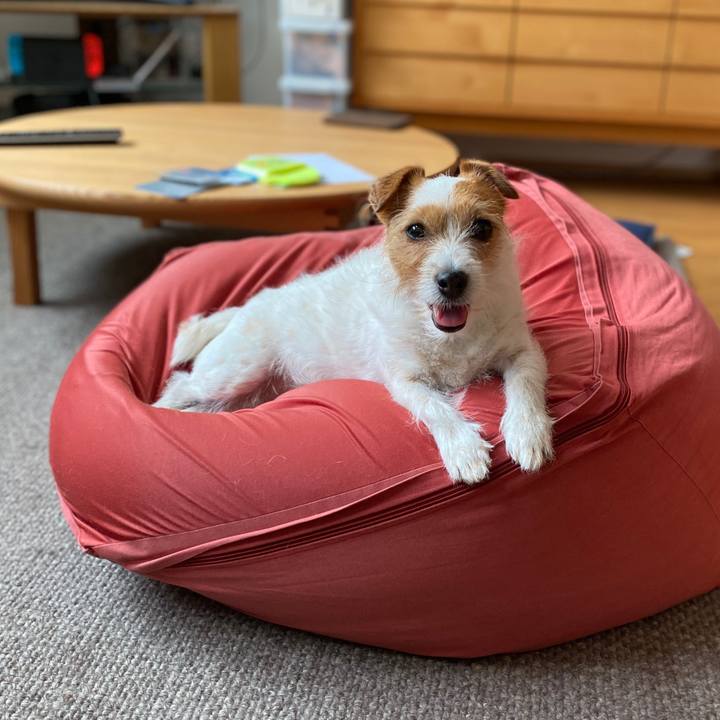 A3125e0b 9450 4f48 821c bc1903e818cc 1588677916458