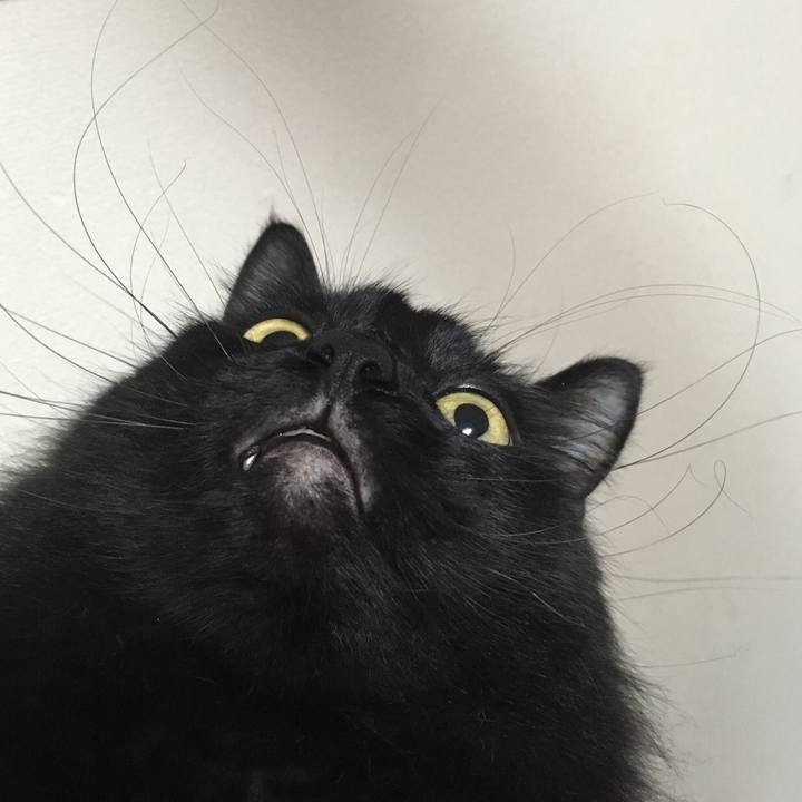 A312915b 7b66 4f64 8bec ef2b127029fa 1513679872401