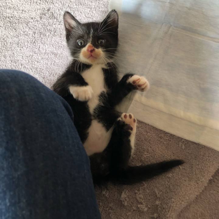 A312e054 61c7 4aee a1e8 ad0f3d0aa290 1536852492963