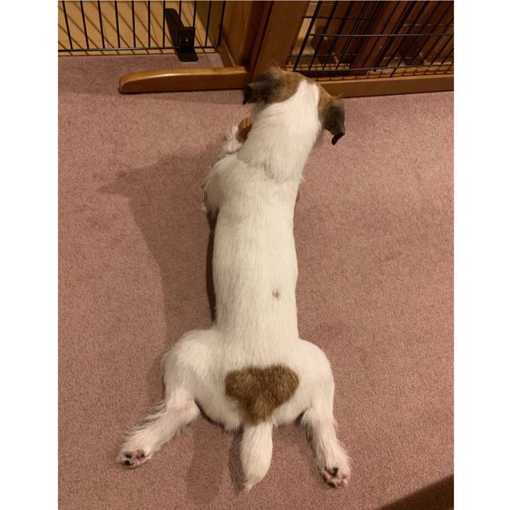 A3131362 cf5d 4c62 954f 50ca899a267e 1588769266212