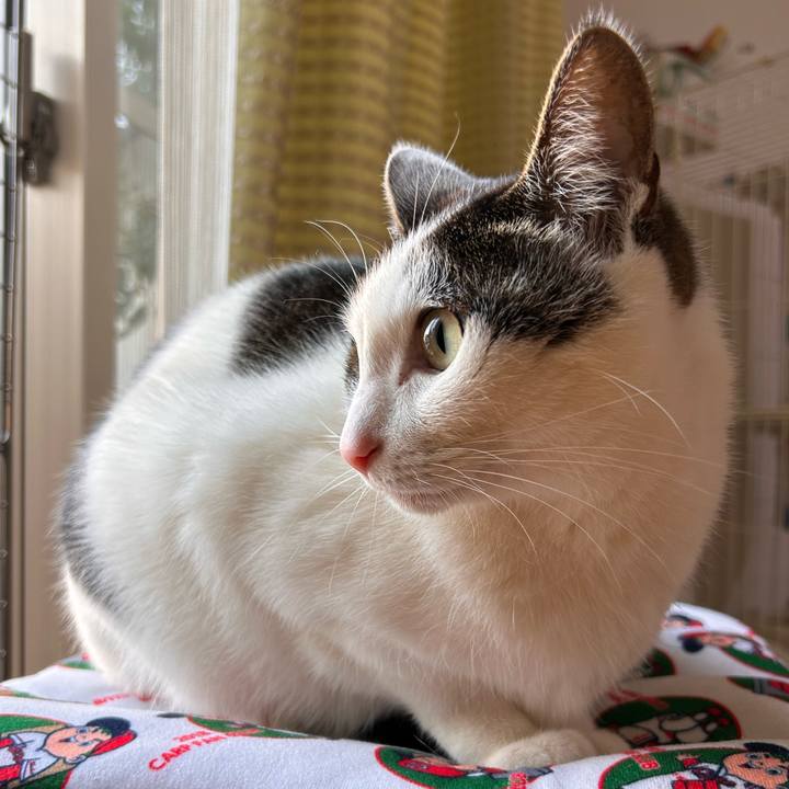 A313436f 62d8 40e3 a3ed 0373984190ab 1746088882505