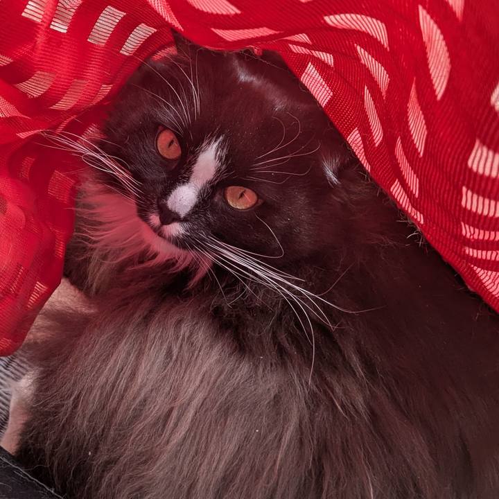 A313769d ac0e 40f6 9dd7 e439aaaa7d13 1739248318285