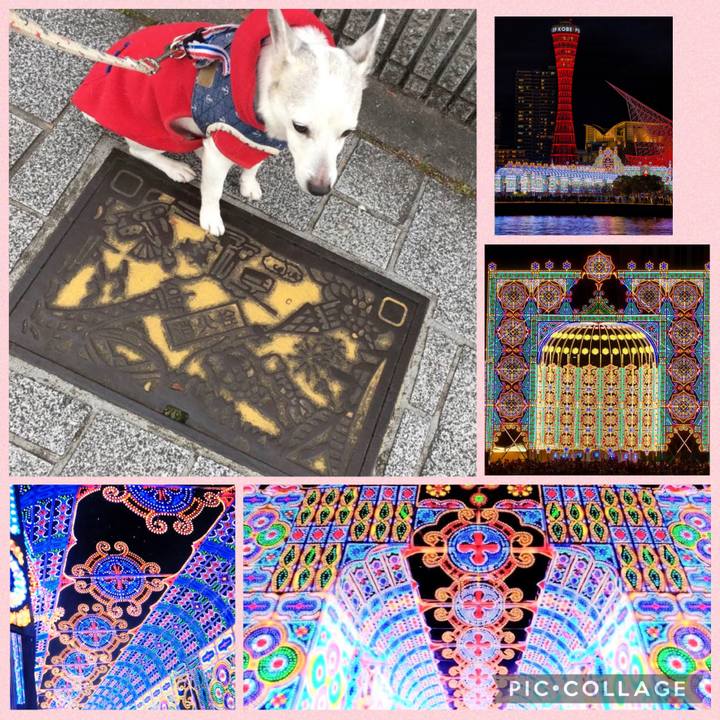 A313aa06 1f76 455d 9475 16c8c67eb711 1770072108933