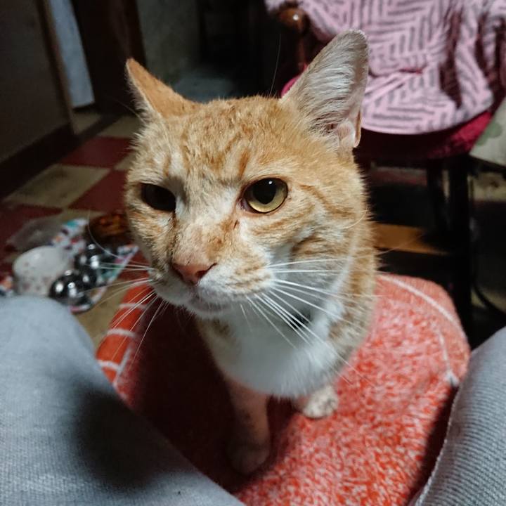 A313c3f8 5488 41d7 bb65 c7bf291a7470 1590351956365