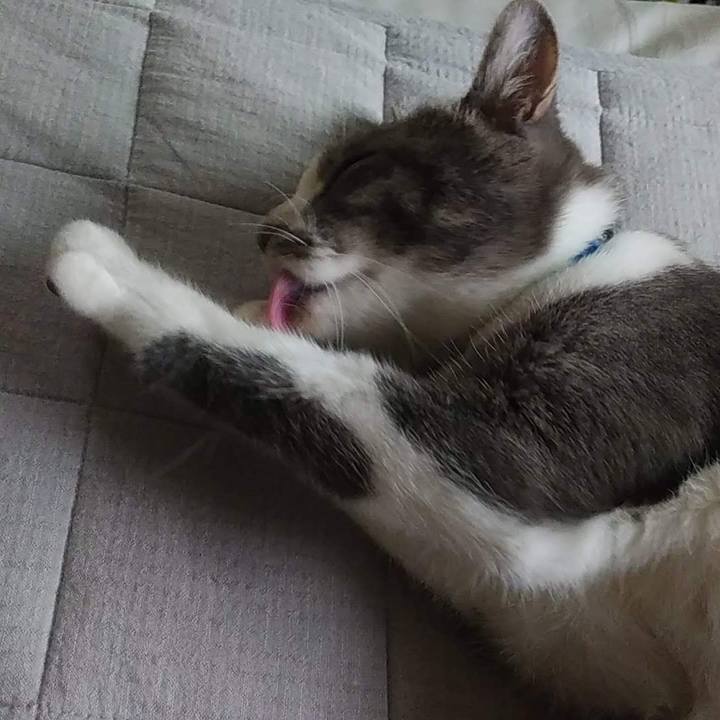 A31441a9 0820 4ac4 af38 ed5c2a074775 1600158285611