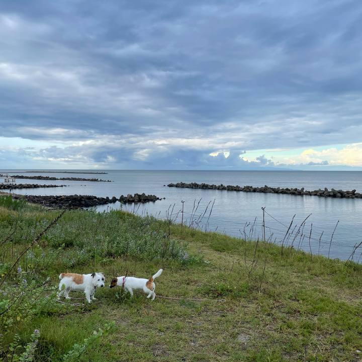 A3145e92 5897 4f00 8666 75fce9e6ecf1 1631314628474