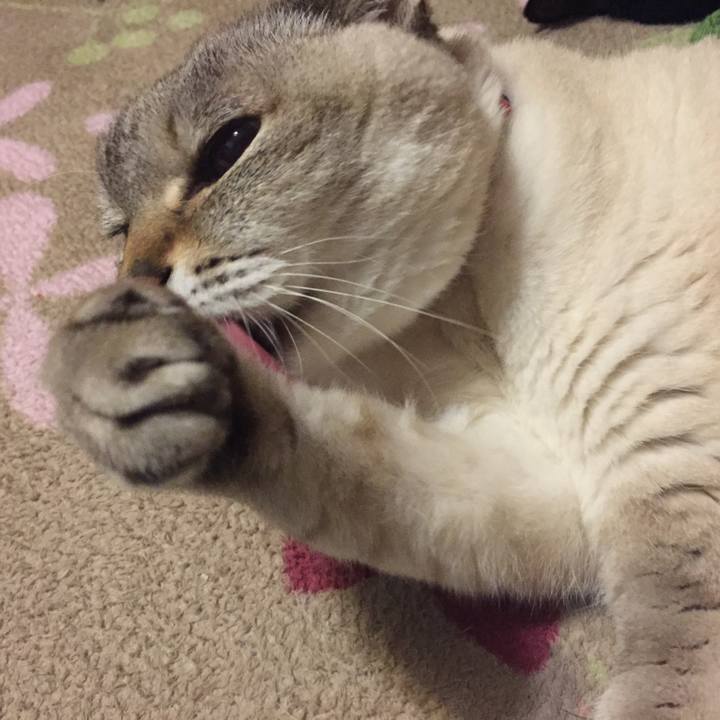 A314b412 63f2 4e6a 94cb 9eba5c8cb220 1548932425521