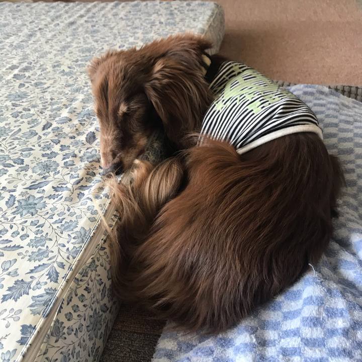 A314e406 8c2f 47db 8cc6 8a38eba858c1 1592612901740