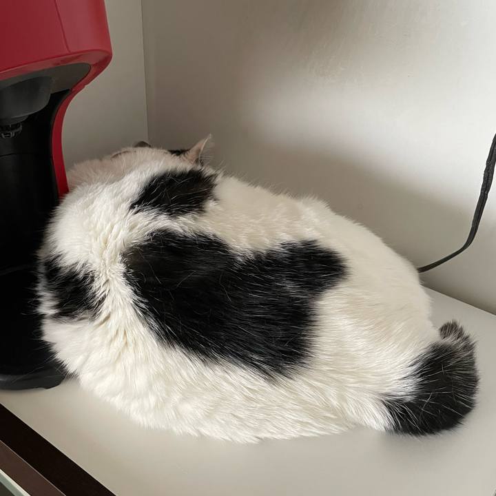 A31501be 456b 4567 8f82 b777b01e3814 1654043684360