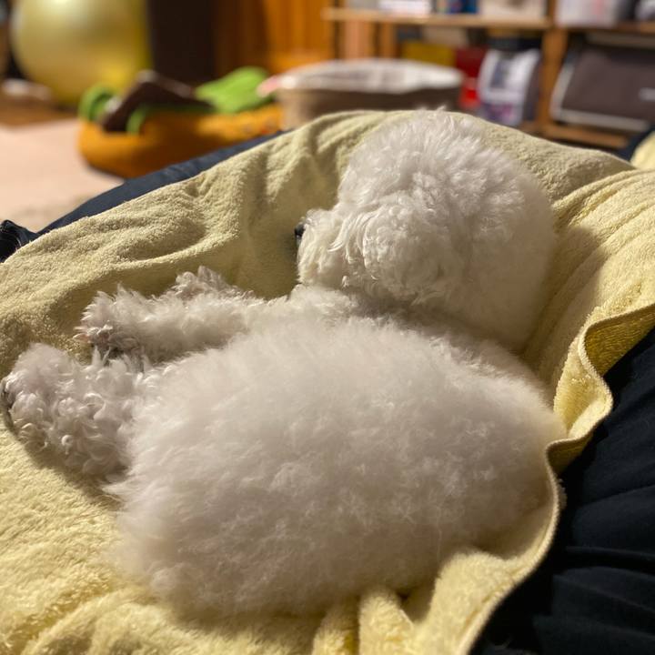 A3150a51 6ad9 4aeb abfb 65de1f1978a8 1609397476278