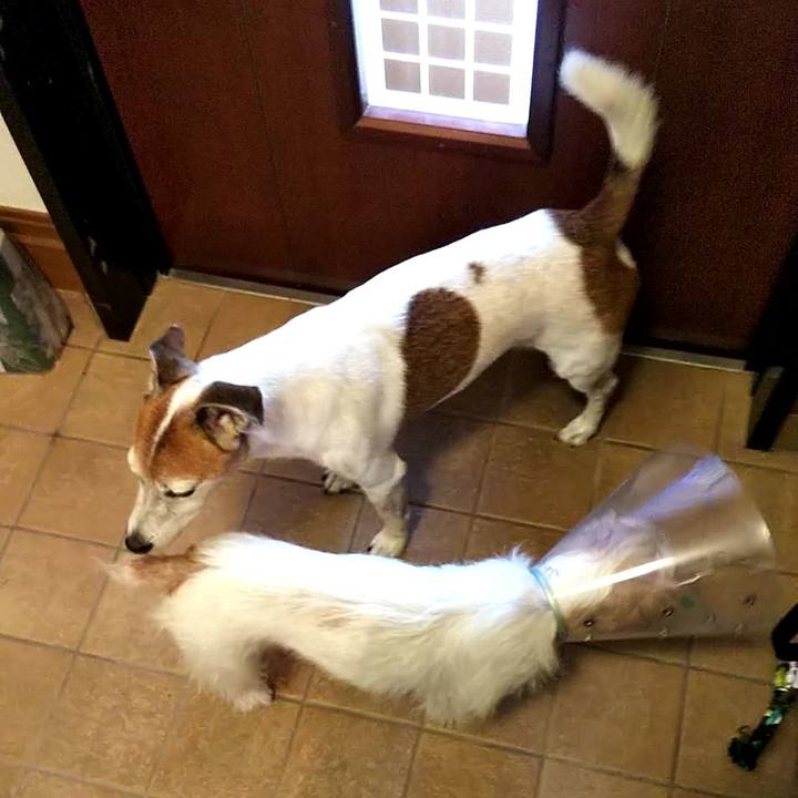 A31535ca 29a5 4a24 8fdd b85db79d0aef 1534641141722