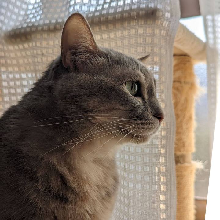 A3154ee4 8433 40fc 8c4d d0ee78d3163f 1707540000504