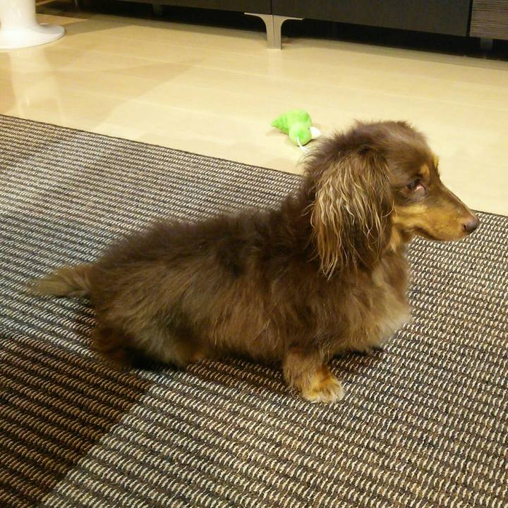 A315c5e5 eb48 4d20 81d0 7a66c55cb3d7 1509277938462