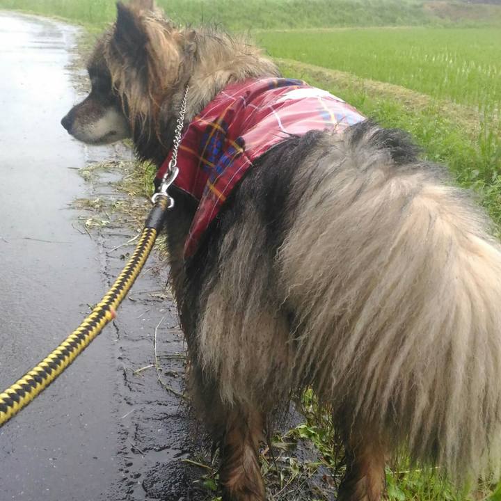 A315dca8 0f08 4183 8356 77cd0bc9b302 1528725562793