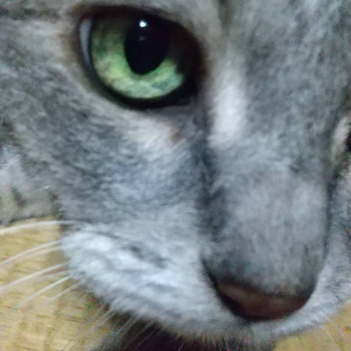 A3161504 3de9 467a 87ce 5327fab0efa5 1665830581108